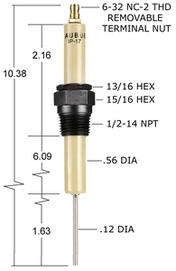 IP-17 AUBURN IGNITER - CS13005